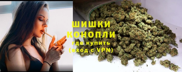 a pvp Белокуриха