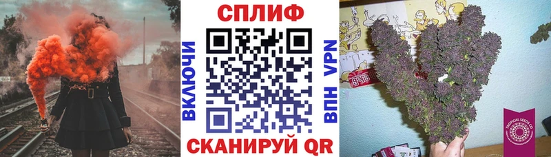 Бошки марихуана сатива  как найти закладки  Малоярославец 